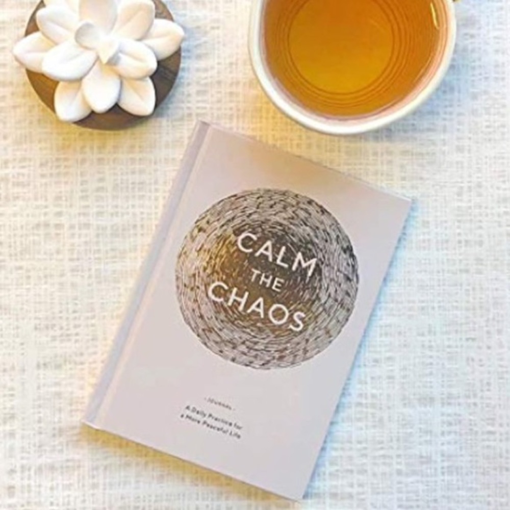 CHRONICLE BOOKS CALM THE CHAOS DAILY JOURNAL NWT